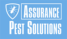 Assurance Pest Solutions